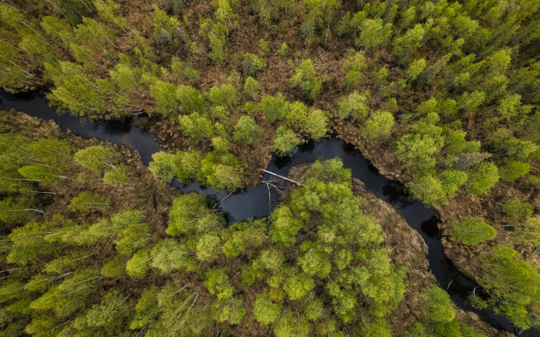 Seipäjärven kyläillan esitysmateriaali